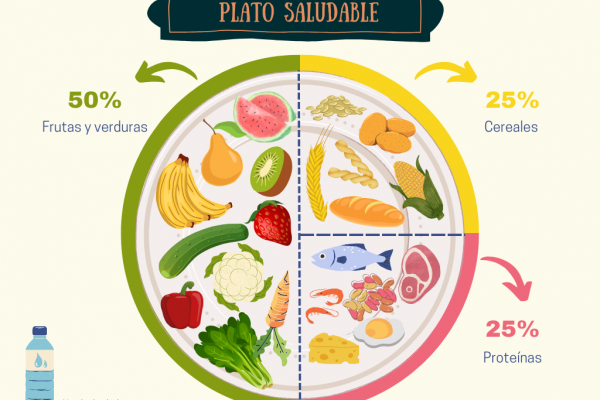 Distribución de alimentos en un plato balanceado