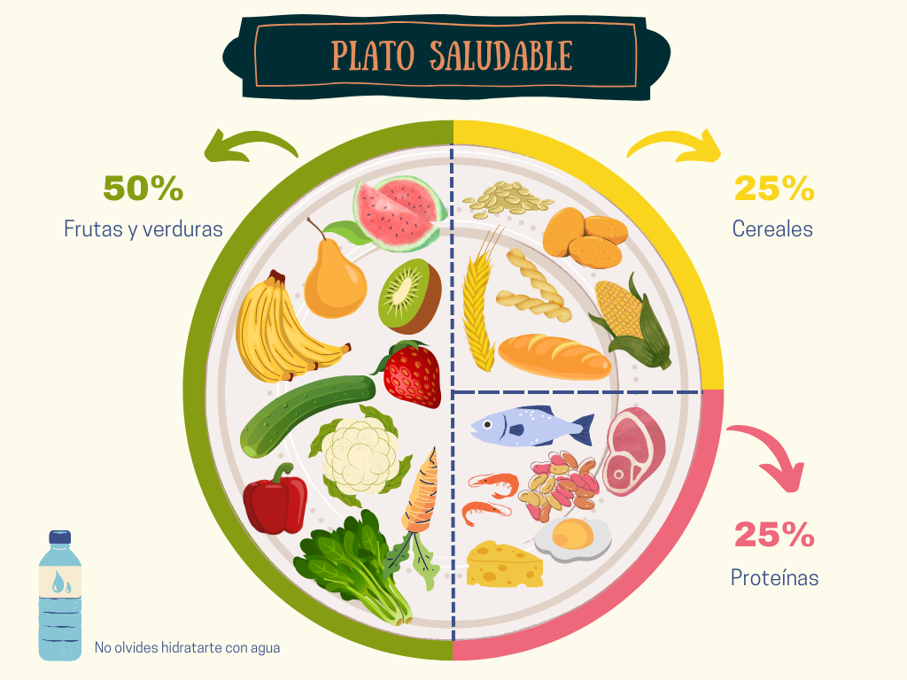 Distribución de alimentos en un plato balanceado